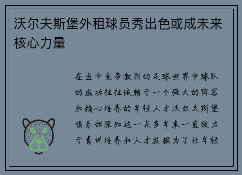 沃尔夫斯堡外租球员秀出色或成未来核心力量